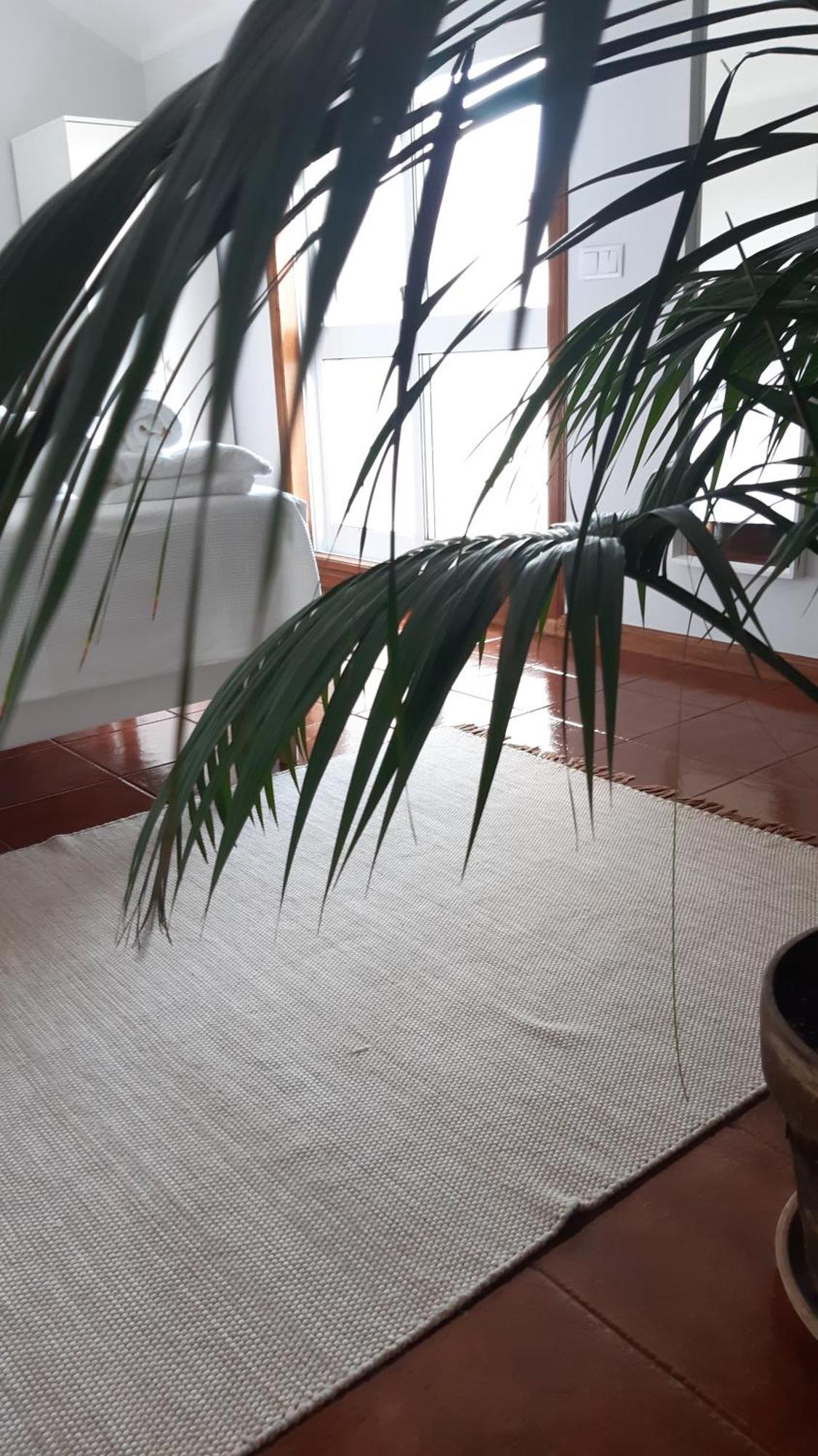 Sun & Sand Guesthouse Esposende Dış mekan fotoğraf